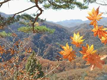 華彩網(wǎng)詹天佑最新動態(tài)與成就