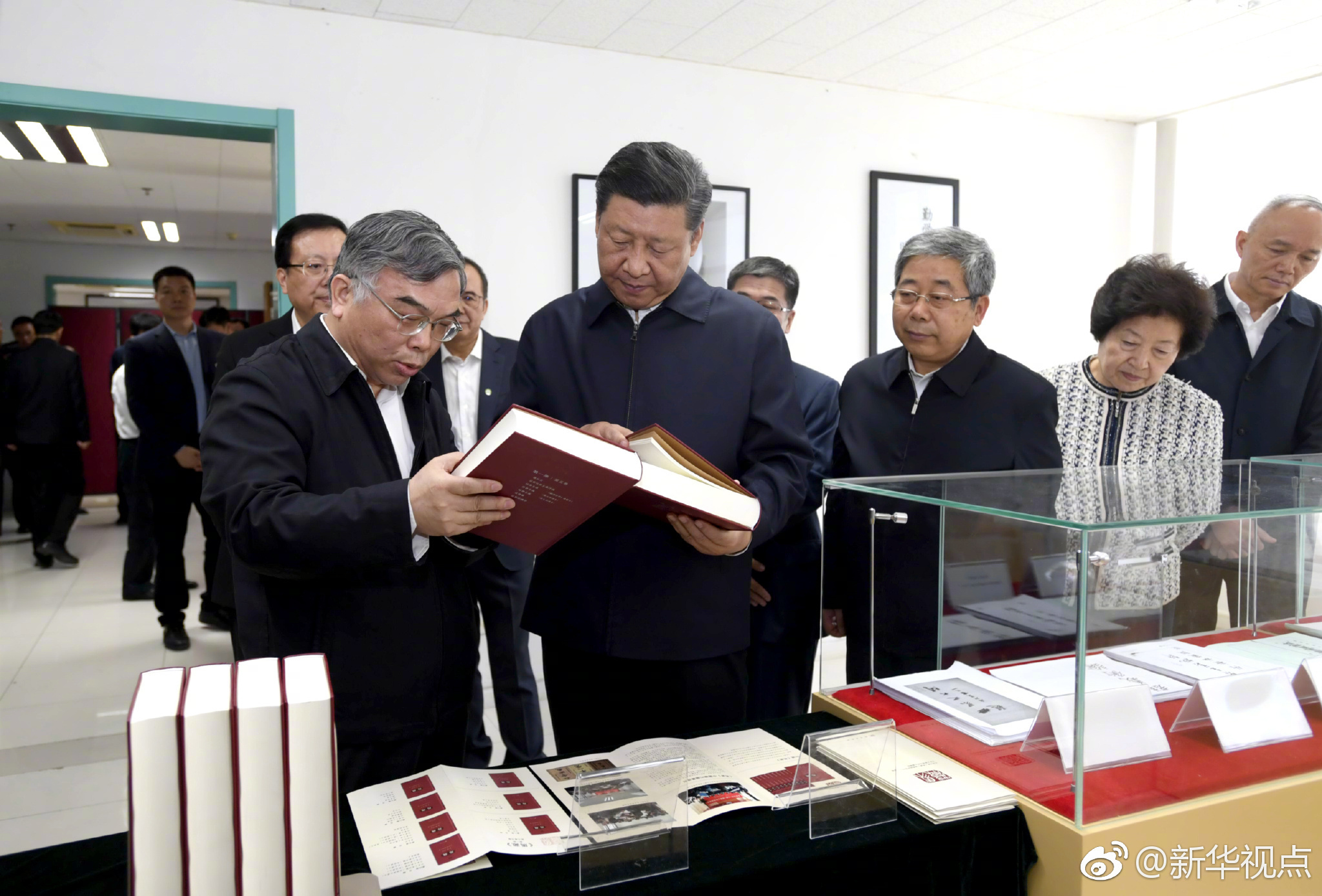 楊蔚玲的最新職務(wù)，引領(lǐng)未來(lái)，展現(xiàn)新篇章